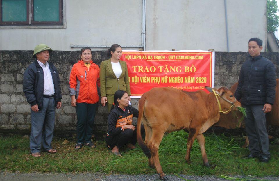 Quỹ caolaoha.com tặng bò giống cho gia đình chị Cao Bích Hường